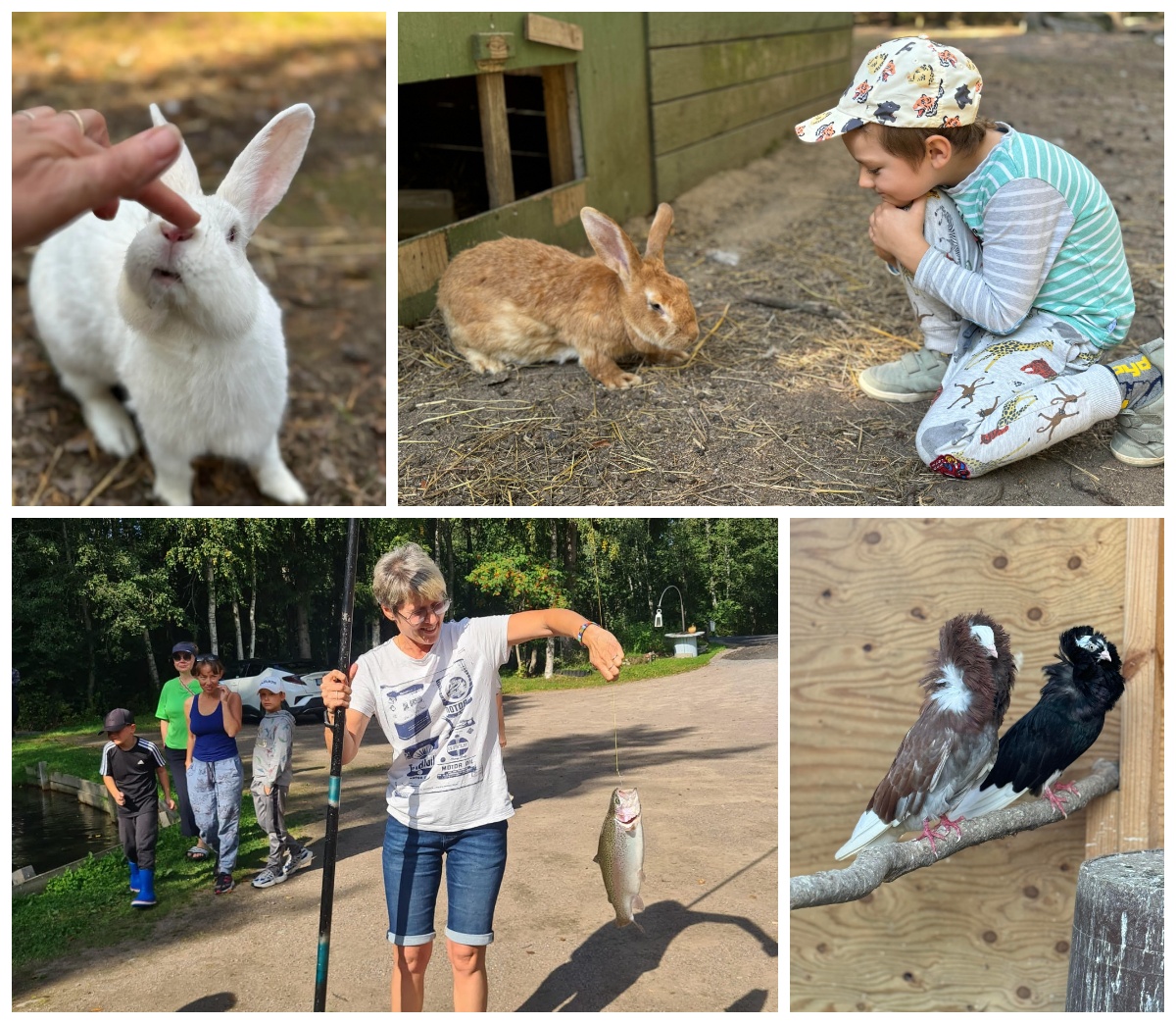 08.09.2024 Venäjä klubi Eläinpuisto
